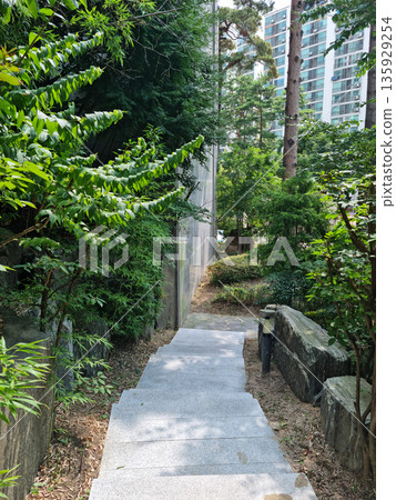 It is a walking trail with downhill stairs. It is a walking trail with downhill stairs. 135929254