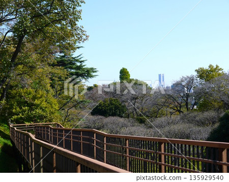 Scenery of Hodogaya Park Scenery of Hodogaya Park 135929540