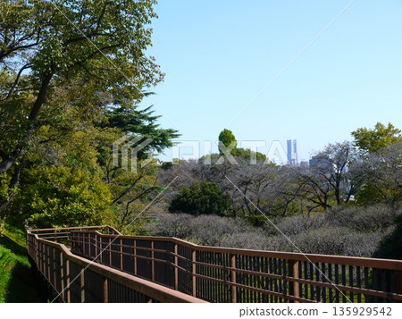 Scenery of Hodogaya Park Scenery of Hodogaya Park 135929542