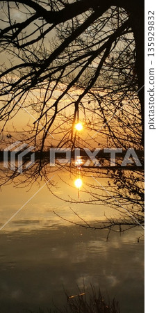 Reflection of sunset in water through tree branches 135929832