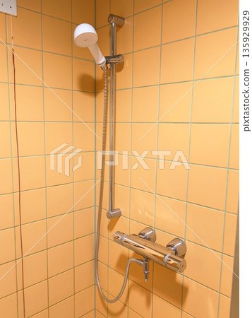 A modern handheld shower with hoses and a thermostatic mixer tap in the shower stall. 135929929