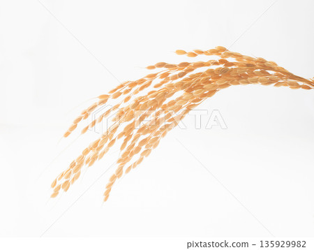 Rice grains on a white background 135929982
