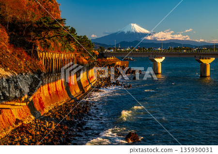 清晨從奧突海岸眺望富士山 135930031
