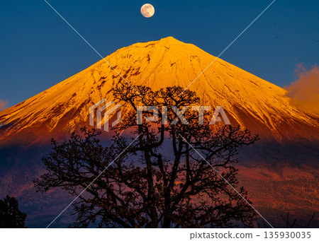 滿月和紅富士山 滿月和紅富士山 135930035