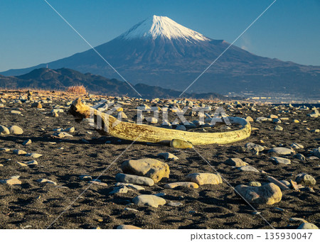 漂流木被沖到美保海灘和富士山的沙灘上。 漂流木被沖到美保海灘和富士山的沙灘上。 135930047