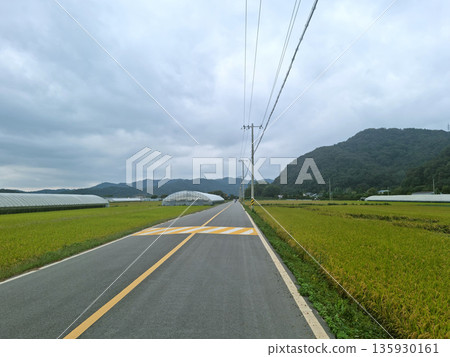 It's a field and a straight road. It's a field and a straight road. 135930161