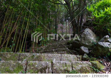 信仰之路,世界遺產,熊野古道伊勢路,松本峠 信仰之路,世界遺產,熊野古道伊勢路,松本峠 135930340