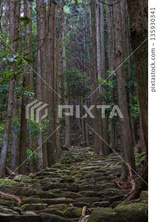 信仰之路,世界遺產,熊野古道伊勢路,松本峠 信仰之路,世界遺產,熊野古道伊勢路,松本峠 135930341