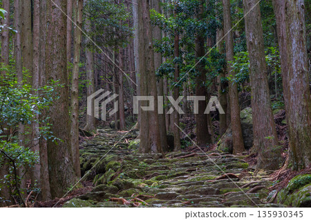 信仰之路，世界遺產，熊野古道伊勢路，松本峠 135930345
