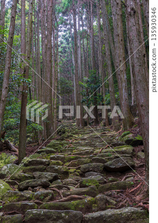 A path of faith, World Heritage Site, Kumano Kodo Iseji, Matsumoto Pass A path of faith, World Heritage Site, Kumano Kodo Iseji, Matsumoto Pass 135930346