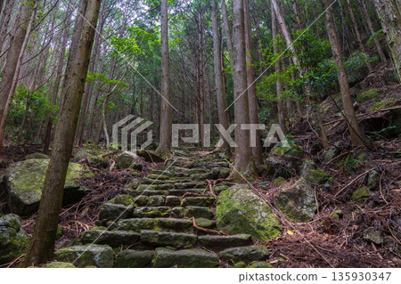 信仰之路，世界遺產，熊野古道伊勢路，松本峠 135930347