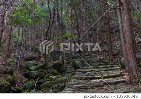 A path of faith, World Heritage Site, Kumano Kodo Iseji, Matsumoto Pass A path of faith, World Heritage Site, Kumano Kodo Iseji, Matsumoto Pass 135930349