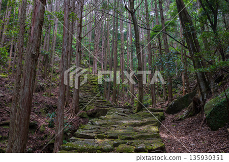 信仰之路,世界遺產,熊野古道伊勢路,松本峠 信仰之路,世界遺產,熊野古道伊勢路,松本峠 135930351