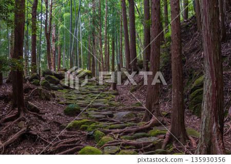A path of faith, World Heritage Site, Kumano Kodo Iseji, Matsumoto Pass A path of faith, World Heritage Site, Kumano Kodo Iseji, Matsumoto Pass 135930356