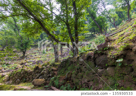位於三重縣熊野市的世界遺產鬼城遺址,夏季景色 位於三重縣熊野市的世界遺產鬼城遺址,夏季景色 135930533