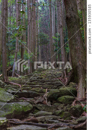 A path of faith, World Heritage Site, Kumano Kodo Iseji, Matsumoto Pass A path of faith, World Heritage Site, Kumano Kodo Iseji, Matsumoto Pass 135930585