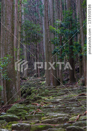 信仰之路,世界遺產,熊野古道伊勢路,松本峠 信仰之路,世界遺產,熊野古道伊勢路,松本峠 135930586