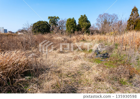Abandoned farmland in winter 135930598