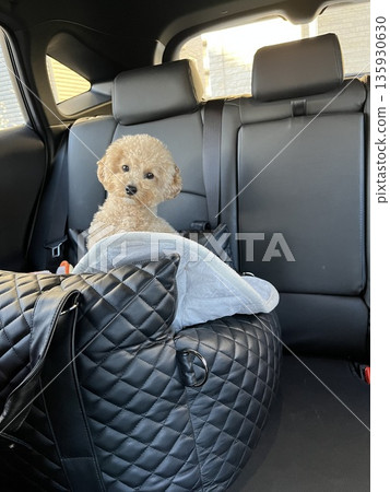 開車和狗 135930630