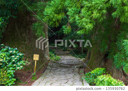 信仰之路,世界遺產,熊野古道中邊地,大門坂的雙杉 信仰之路,世界遺產,熊野古道中邊地,大門坂的雙杉 135930762