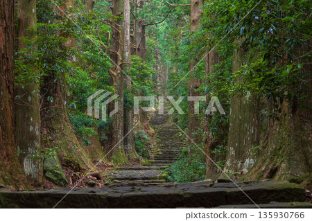 A path of faith, World Heritage Site, Kumano Kodo Nakahechi, Daimonzaka A path of faith, World Heritage Site, Kumano Kodo Nakahechi, Daimonzaka 135930766