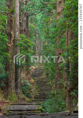 A path of faith, World Heritage Site, Kumano Kodo Nakahechi, Daimonzaka A path of faith, World Heritage Site, Kumano Kodo Nakahechi, Daimonzaka 135930767