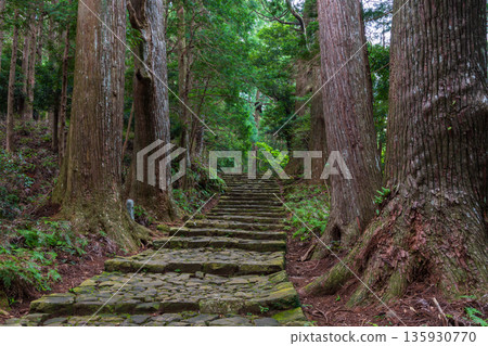 A path of faith, World Heritage Site, Kumano Kodo Nakahechi, Daimonzaka 135930770