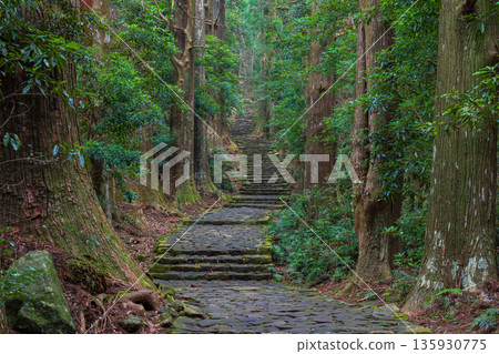 信仰之路、世界遺產、熊野古道中邊地、大門坂 信仰之路、世界遺產、熊野古道中邊地、大門坂 135930775