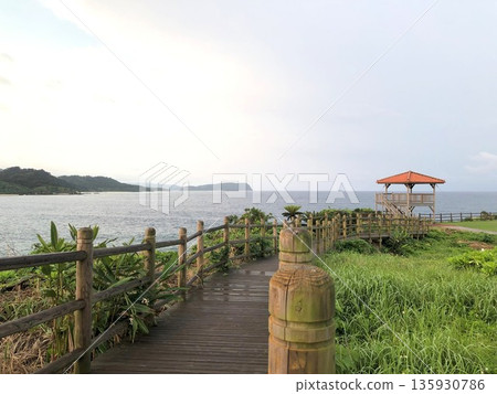 Southern Island - Cape in the Early Morning 135930786