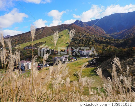 The stunning autumn foliage of Mt. Daisen in Tottori Prefecture 135931032