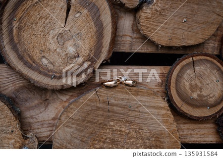 Rustic Wooden Log Background with Wedding Rings Highlighting Love and Nature's Beauty Rustic Wooden Log Background with Wedding Rings Highlighting Love and Nature's Beauty 135931584