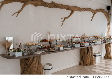 Rustic Wood Branch Wall Art with Elegant Dessert Buffet Display in Modern Event Space 135931643