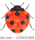 可愛的瓢蟲(七星瓢蟲)水彩插圖 可愛的瓢蟲(七星瓢蟲)水彩插圖 135932368