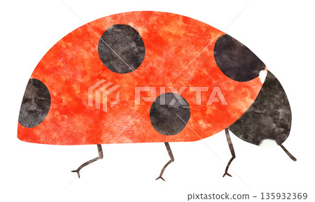可愛的瓢蟲(七星瓢蟲)水彩插圖 可愛的瓢蟲(七星瓢蟲)水彩插圖 135932369