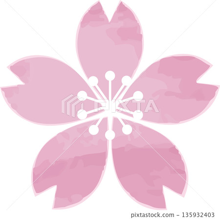 Hand-drawn watercolor illustration of cherry blossoms. Japanese-style icons, decorations, and design materials of cherry blossoms that add color to spring. 135932403