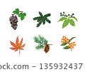 Set of familiar autumn flowers and plants, hand-drawn illustrations 135932437