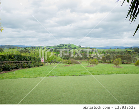 The magnificent green land of a foreign country The magnificent green land of a foreign country 135932522