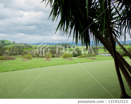 The magnificent green land of a foreign country The magnificent green land of a foreign country 135932523