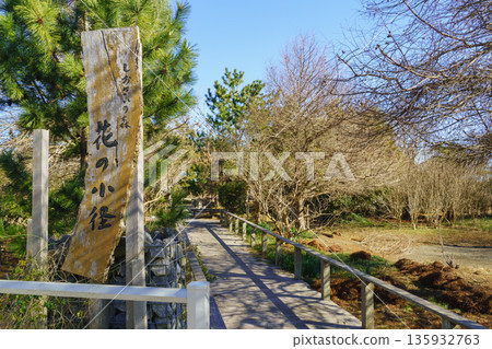 [千葉縣長生郡一宮町] 一宮潮騷森林花道 135932763