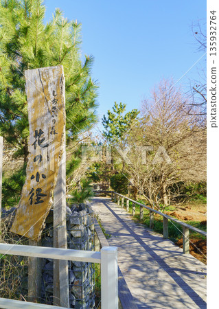 [Ichinomiya Town, Chosei District, Chiba Prefecture] Ichinomiya Shiosai Forest Flower Path 135932764