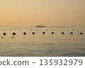 View of the oyster farm 135932979