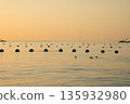 View of the oyster farm 135932980