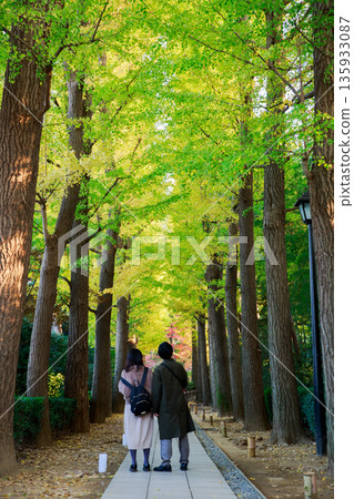 A walk in the park with beautiful autumn leaves A walk in the park with beautiful autumn leaves 135933087