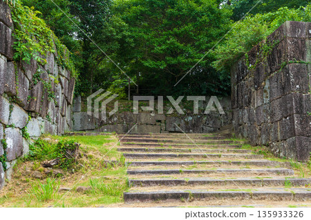 夏天的和歌山縣新宮市新宮城遺址 夏天的和歌山縣新宮市新宮城遺址 135933326
