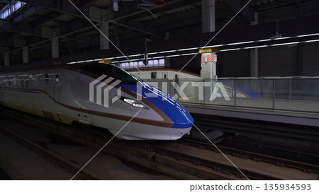 在車站停靠的新幹線 在車站停靠的新幹線 135934593