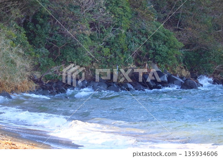 岩黑島的起源：黑濱海岸，那裡遍布黑色閃長岩（岩黑島，志久群島） 135934606