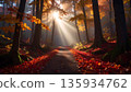 Autumn Forest Path Sunbeams . Nature Concept. Generated Image 135934762