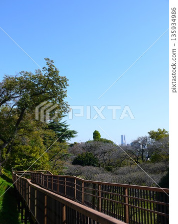 從保土谷公園看到的景色 135934986