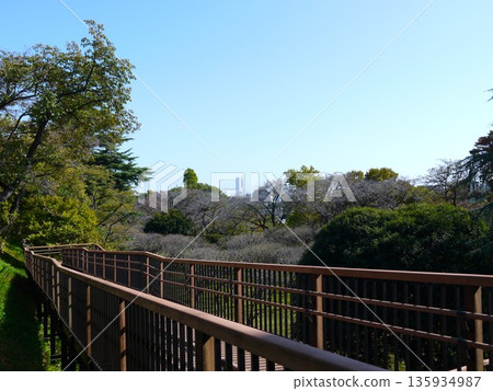 從保土谷公園看到的景色 135934987