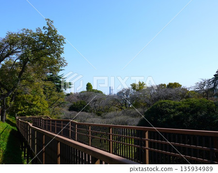 The view from Hodogaya Park The view from Hodogaya Park 135934989